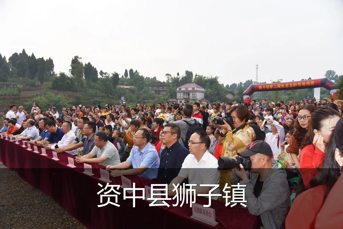 资中县狮子镇