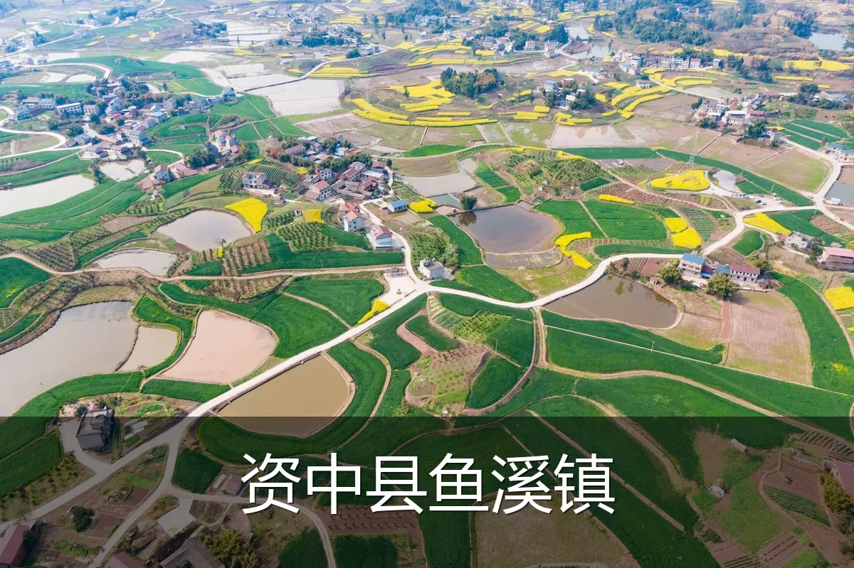资中县鱼溪镇