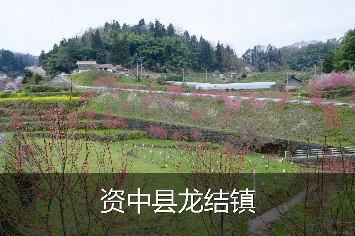 资中县龙结镇