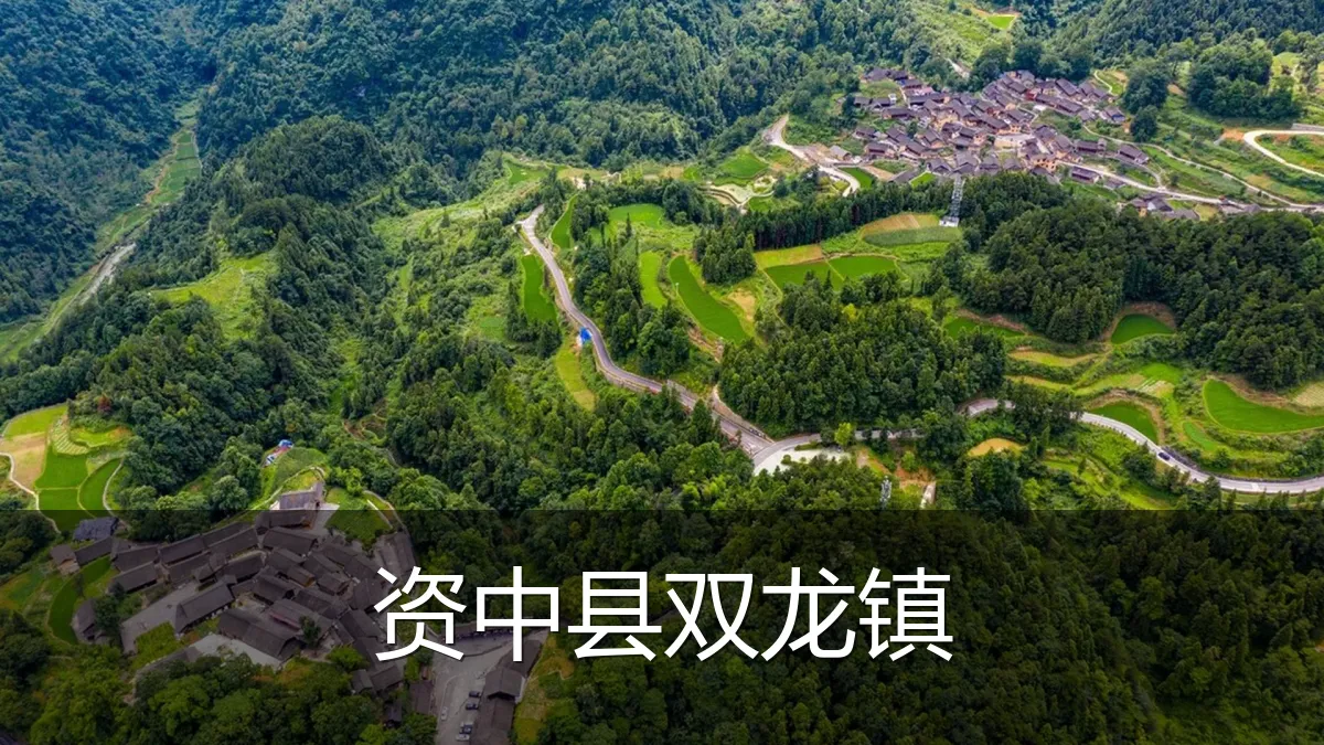 资中县双龙镇