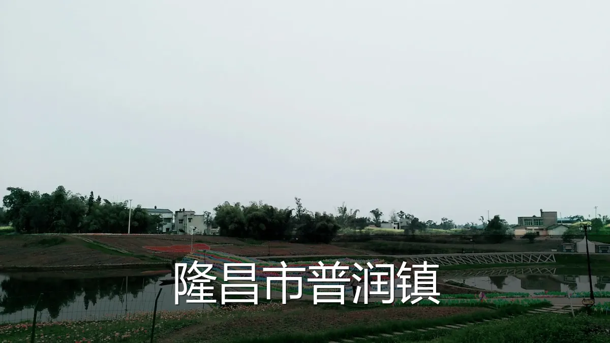 隆昌市普润镇