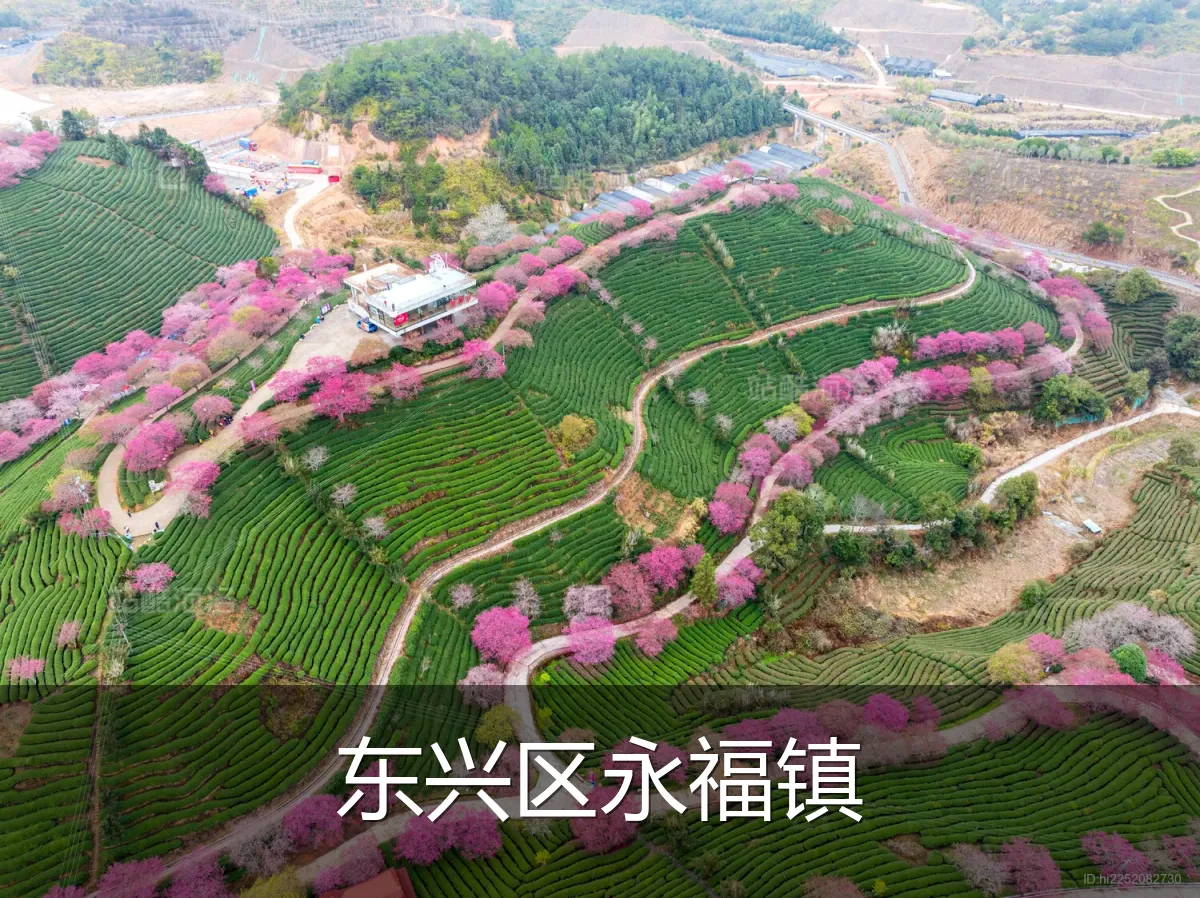 东兴区永福镇
