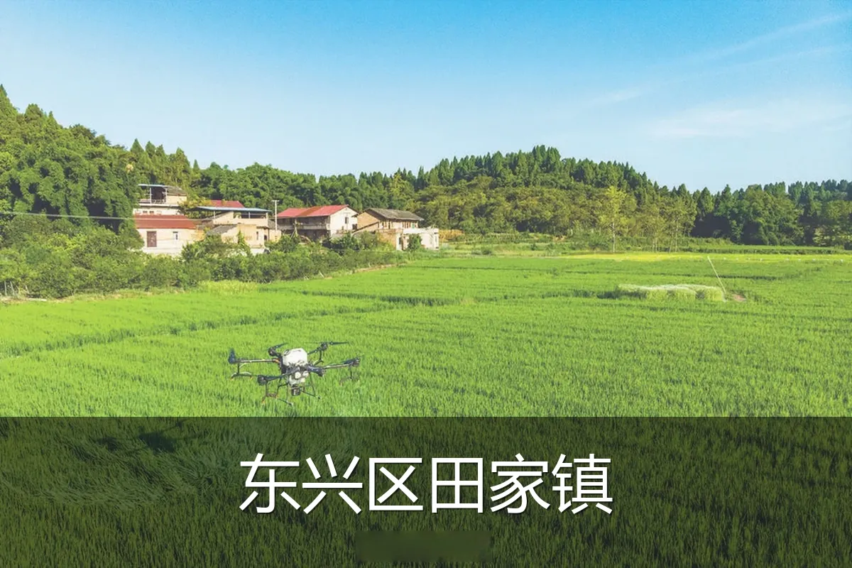 东兴区田家镇