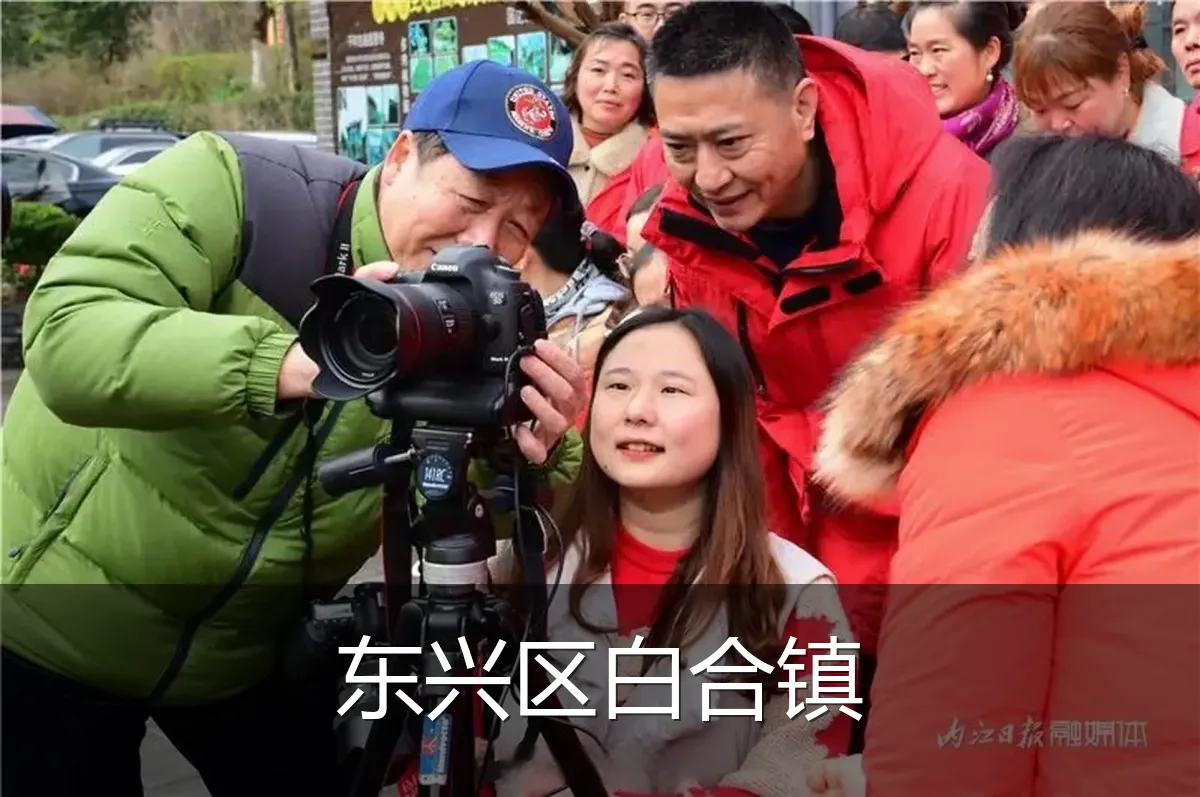 东兴区白合镇
