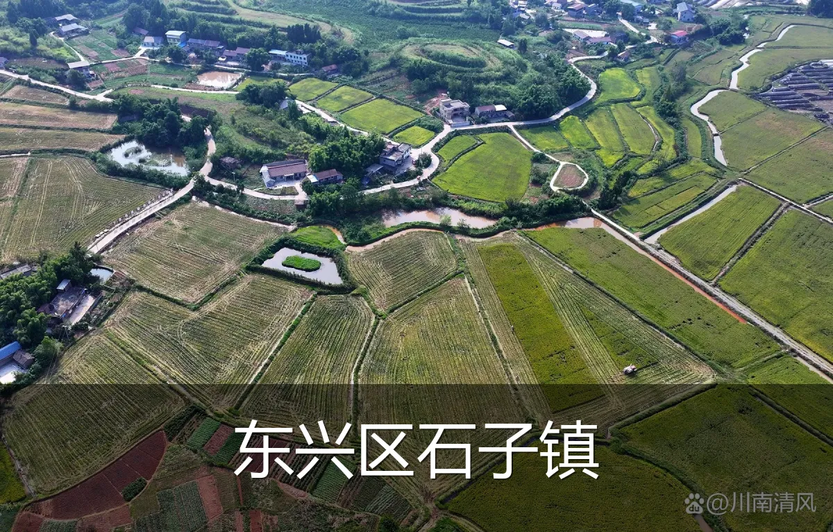 东兴区石子镇