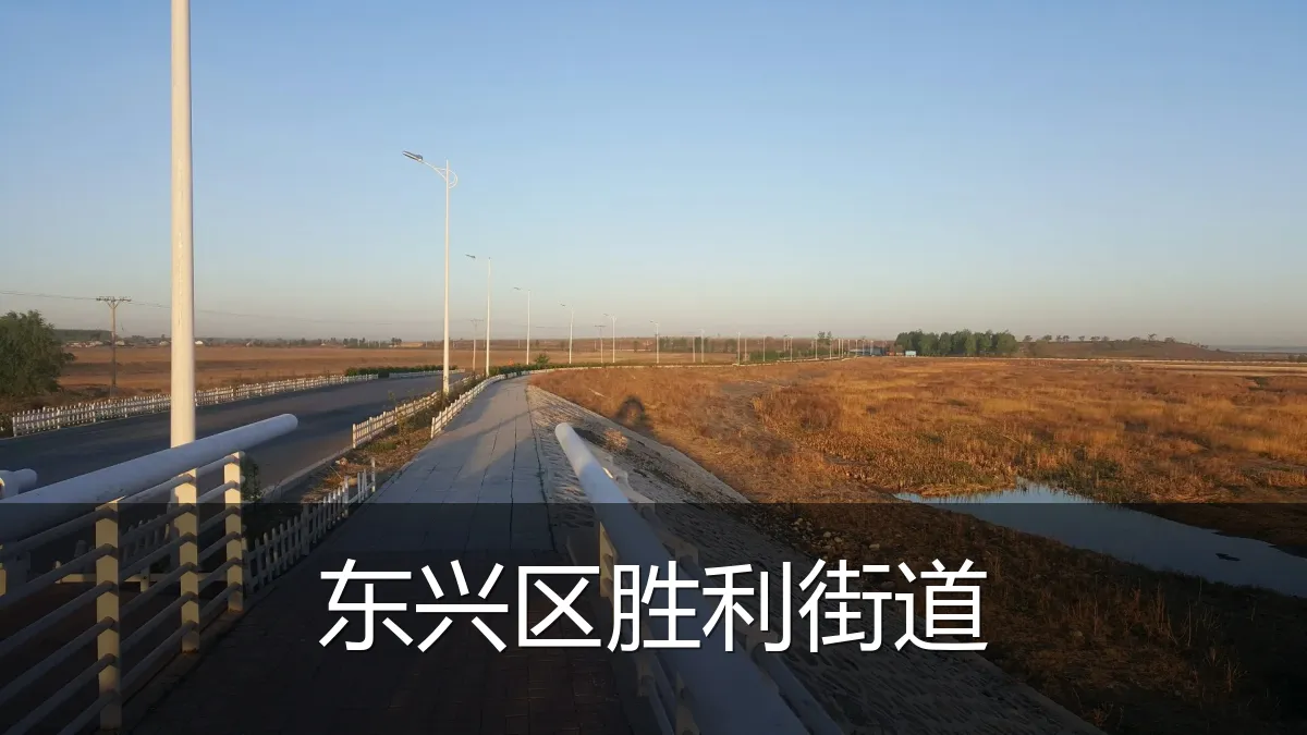 东兴区胜利街道