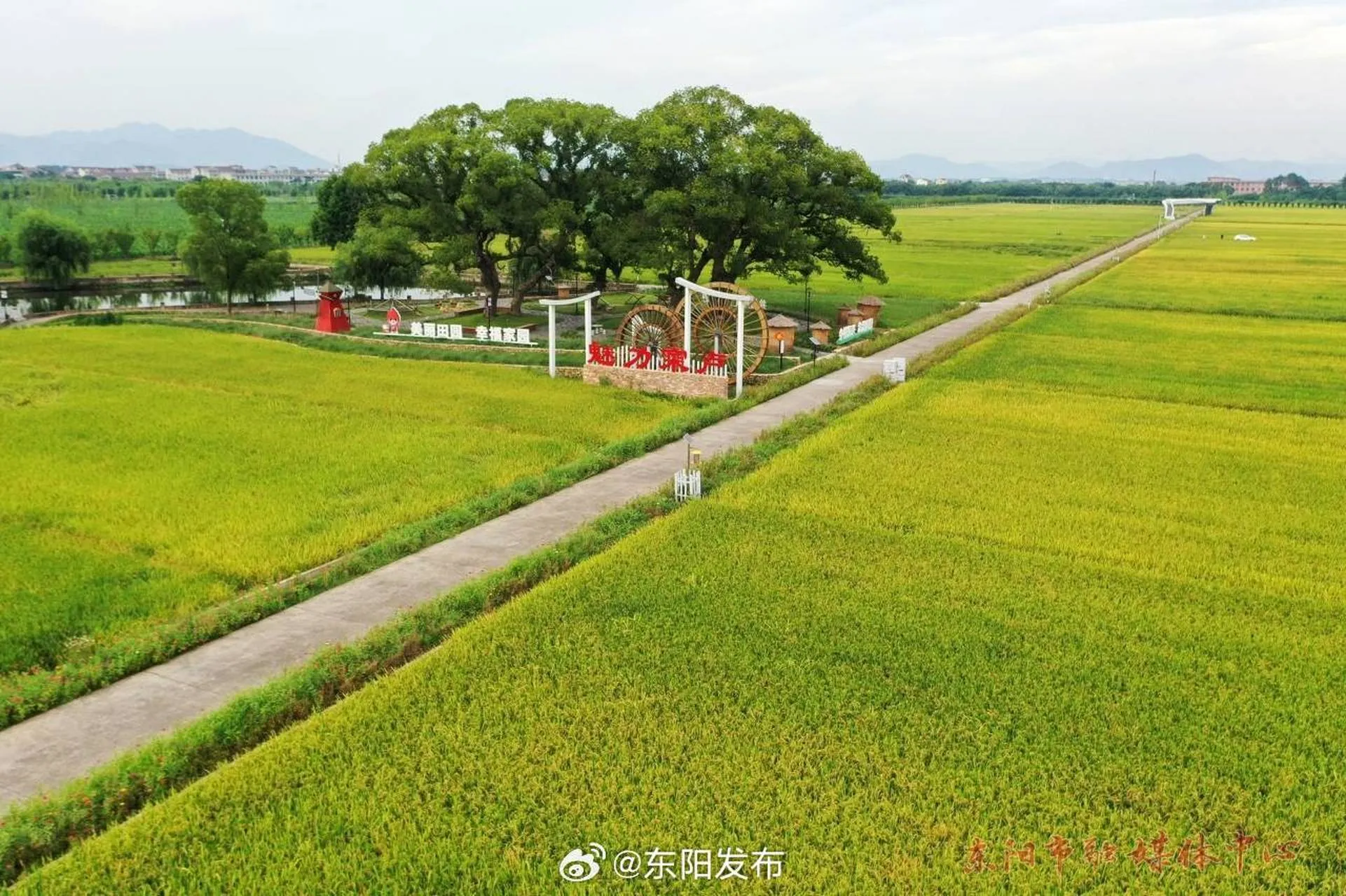 市中区城东街道