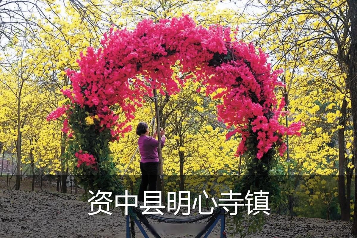 资中县明心寺镇