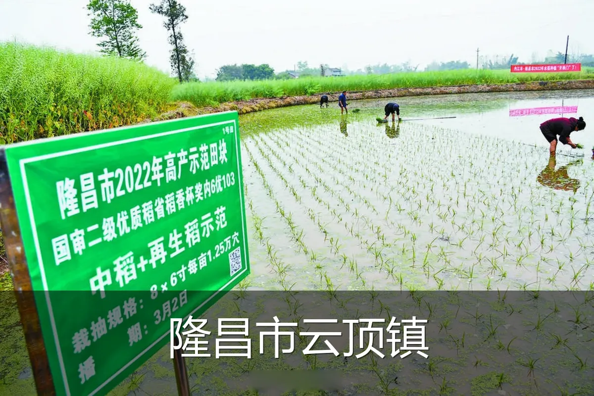 隆昌市云顶镇