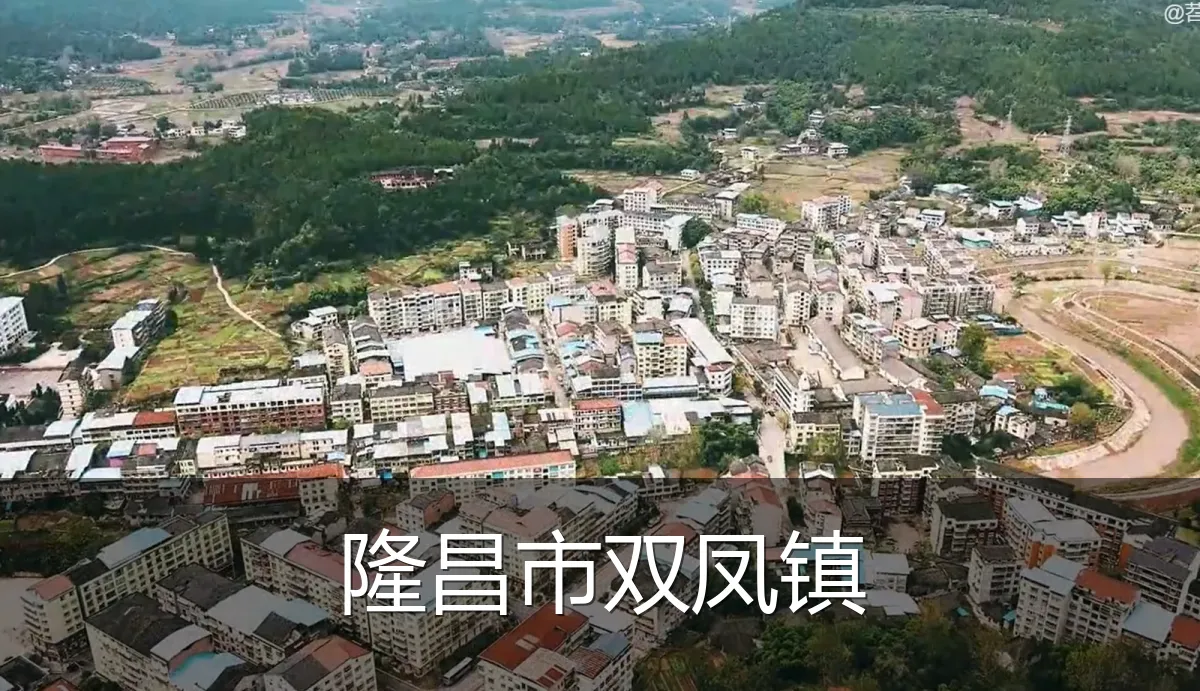 隆昌市双凤镇